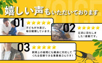 【先行予約】ヘラクレスオオカブト3令幼虫ペア&nbsp;※育て方の説明書付き※配送不可地域あり【2026年9月から順次発送】｜【&nbsp;カブトムシ&nbsp;かぶとむし&nbsp;昆虫&nbsp;成虫&nbsp;生体&nbsp;飼育カブトムシ&nbsp;かぶとむし観察&nbsp;和歌山県&nbsp;白浜町