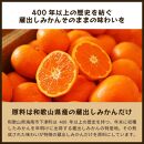 蔵出しみかんジュース｜和歌山県海南市下津町産の高級100%ストレートジュース
