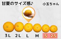 甘夏 小玉ちゃん 箱込 5kg (内容量約 4.4kg) 秀品 優品 混合 Sサイズ以下 産地直送 おまけ付き 【みかんの会】