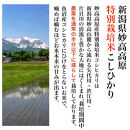 【FOOD&nbsp;SHIFTセレクション入賞！】新潟県妙高高原減農薬特別栽培米&nbsp;そのまんま真空パック&nbsp;&nbsp;900ｇ×6袋セット