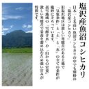 【令和6年度産】新潟県塩沢産コシヒカリ そのまんま真空パック 900ｇ×6袋