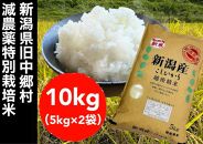 【令和6年度産新米】新潟県旧中郷村減農薬特別栽培米コシヒカリ 10kg