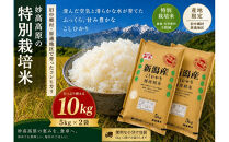 新潟県妙高高原減農薬特別栽培米コシヒカリ&nbsp;10kg（5kg×2袋）