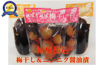 柿酢仕込み　梅干し（100g×3袋）＆ニンニク醤油漬け（100g×2袋）セット