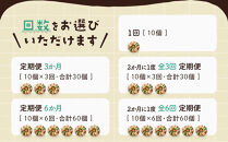 おんせんベーグル【10種類10個！】～ゆふいんの汲みたて温泉水を使ったつるつるもちもちのベーグル～