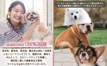 愛犬のごほうびに！　犬用ペットフード　お徳用セット！2点詰め合わせセット