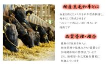 宮崎県産 黒毛和牛 切り落とし 1.5kg
