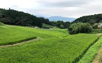 【減農薬米】桜井市高家産ヒノヒカリ　5kg（玄米）