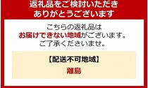 【2025年発送】湯布院の温泉で育てたいちご おまかせ約1kg（約250g×4パック） ｜ いちご 果物 フルーツ 旬フルーツ 苺 いちご イチゴ 人気 さがほのか ベリーツ 由布市 いちご ED01