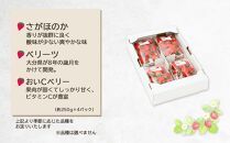 【2025年発送】湯布院の温泉で育てたいちご おまかせ約1kg（約250g×4パック） ｜ いちご 果物 フルーツ 旬フルーツ 苺 いちご イチゴ 人気 さがほのか ベリーツ 由布市 いちご ED01