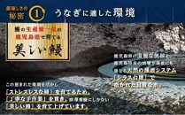 【土用丑の日】うなぎの柳澤　うなぎ蒲焼2尾（計340g）