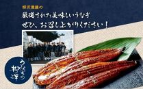 【土用丑の日】うなぎの柳澤　うなぎ蒲焼2尾（計340g）