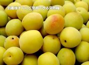 和歌山県産 紀州南高梅 完熟 秀品 5kg（3L以上〜Lサイズ混合）