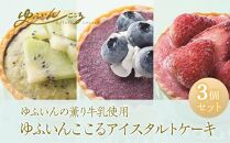 ゆふいんここる【アイスタルトケーキ】3個3種セット（ベリーツ苺・ブルーベリー・キウイ）＜ゆふいんの薫り牛乳使用＞