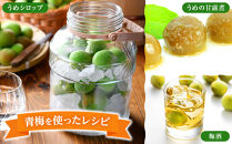 青梅&nbsp;4kg&nbsp;紀州南高梅&nbsp;シロップ・梅酒・梅干し用等&nbsp;和歌山県有田産&nbsp;訳あり　2026年5月下旬～7月上旬発送予定