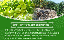 青梅&nbsp;4kg&nbsp;紀州南高梅&nbsp;シロップ・梅酒・梅干し用等&nbsp;和歌山県有田産&nbsp;訳あり　2026年5月下旬～7月上旬発送予定