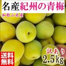 青梅 2.5kg 紀州南高梅 シロップ・梅酒・梅干し用など 和歌山県有田産 訳あり 2025年5月下旬～7月上旬発送予定