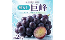 紀州有田産の種なし巨峰ぶどう約２kg【先行予約】【2026年8月中旬以降発送予定】