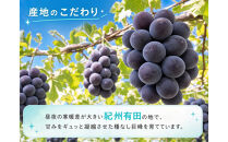 紀州有田産の種なし巨峰ぶどう約２kg【先行予約】【2026年8月中旬以降発送予定】