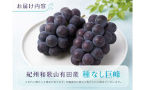 紀州有田産の種なし巨峰ぶどう約２kg【先行予約】【2026年8月中旬以降発送予定】