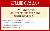 紀州有田産の種なし巨峰と梨セット&nbsp;計約2kg【先行予約】【2027年8月中旬以降発送予定】