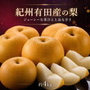 ジューシー果汁の紀州有田産の梨約４kg&nbsp;　化粧箱入【先行予約】【2026年8月中旬以降発送予定】