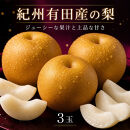 ジューシー果汁の紀州有田産の梨　３玉　化粧箱入【先行予約】【2026年8月中旬以降発送予定】