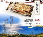 紀州和歌山産天然足赤えび540g（270g×2パック）　化粧箱入【2024年11月上旬頃～2025年2月上旬頃に順次発送】【UT23】