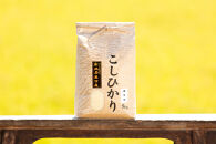 【数量限定】【わけあり】【令和7年産】南魚沼産コシヒカリ（無洗米5kg）新潟県&nbsp;特A地区の美味しいお米。【銘柄米&nbsp;ブランド米&nbsp;無洗米&nbsp;こしひかり&nbsp;コシヒカリ&nbsp;魚沼産&nbsp;新潟米&nbsp;産地直送&nbsp;お米&nbsp;米&nbsp;こめ&nbsp;コメ&nbsp;ご飯&nbsp;御飯&nbsp;ごはん】