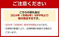 【のし付き】【令和6年産 新米】南魚沼産コシヒカリ【無洗米20kg(5kg×4)】新潟県 特A地区の美味しいお米。【米 お米 こしひかり 南魚沼 米 無洗米 こめ 新潟 米】