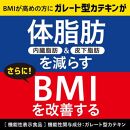 【機能性表示食品】お～いお茶濃い茶プレミアムティーバッグ　2ケース（20袋×16箱）