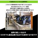 牛肉 仙台牛 モモ 600g ( 300g × 2 ) ブランド お肉 肉 にく 牛 ローストビーフ ローストサンド おつまみ あて サラダ 人気 おすすめ 国産 冷凍 モモ肉 もも肉 仙台 宮城