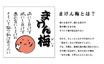まけん梅(R)&nbsp;はちみつ漬&nbsp;蜜宝梅&nbsp;2kg(500g×4)&nbsp;塩分約5％&nbsp;梅干し&nbsp;紀州南高梅&nbsp;nankiume001B