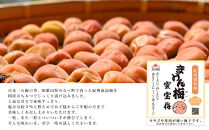 まけん梅(R)&nbsp;はちみつ漬&nbsp;蜜宝梅&nbsp;3kg(500g×6)&nbsp;塩分約5％&nbsp;梅干し&nbsp;紀州南高梅&nbsp;nankiume003B