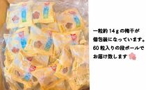 はちみつ梅干　フレッシュ感そのまま個包装タイプ　14g(2L)×60粒　紀州南高梅　完熟うめ　塩分約5％ A-039a