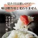 大満足！訳あり！無着色辛子明太子　並切 1kg(500g×2ｐ）