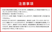 七代目&nbsp;山利&nbsp;釜あげしらす&nbsp;300ｇ&nbsp;天日干しちりめん&nbsp;230ｇ&nbsp;パック入り&nbsp;お試しセット&nbsp;春しらす【2026年発送】