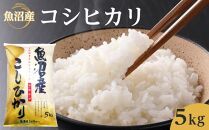 魚沼産コシヒカリ　5kg　2024年10月～発送開始｜新潟県　魚沼　こしひかり　令和6年産