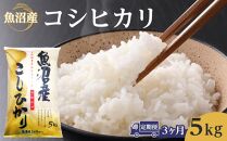 【3ヶ月定期便】魚沼産コシヒカリ　5kg 　2024年10月～発送開始｜新潟県　魚沼　こしひかり　令和6年産