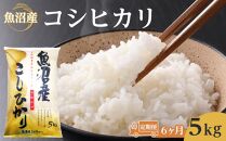 【6ヶ月定期便】魚沼産コシヒカリ　5kg　2024年10月～発送開始｜新潟県　魚沼　こしひかり　令和6年産