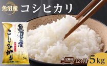 【12ヶ月定期便】魚沼産コシヒカリ　5kg　2024年10月～発送開始｜新潟県　魚沼　こしひかり　令和6年産