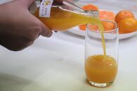 【お中元】数量限定　果汁100％！ 搾りたての柑橘ジュース　180ml×5本　2024年7月1日～8月5日ごろ順次発送