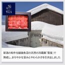 【ふるさと納税】【MA-004B-A16】越後雪室屋 和牛焼肉×TWINBIRD IH調理器セット