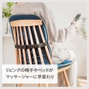 【ふるさと納税】【EM-2546BL-A20】環境科学&nbsp;入浴剤「新之助」(4箱)×TWINBIRD&nbsp;シートマッサージャー&nbsp;セット