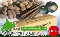 【先行予約】北海道冬の味覚野菜4種セットB合計10.4kg(2023年12月上旬発送予定)