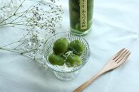 【お中元】コンポート　２本セット【2025年7月上旬より順次発送】