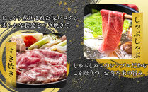 訳あり！博多和牛しゃぶしゃぶすき焼き750gセット