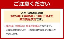 【のし付き】【令和6年産 新米】【高級】南魚沼塩沢産こしひかり白米（5kg）新潟県 特A地区の美味しいお米。【米 お米 こしひかり 南魚沼 米 白米 こめ 新潟 米】