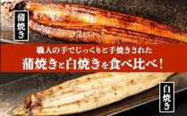 鹿児島県大隅産　千歳鰻の白焼2尾・蒲焼き2尾　合計4尾セット