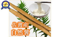 佐渡産自然薯